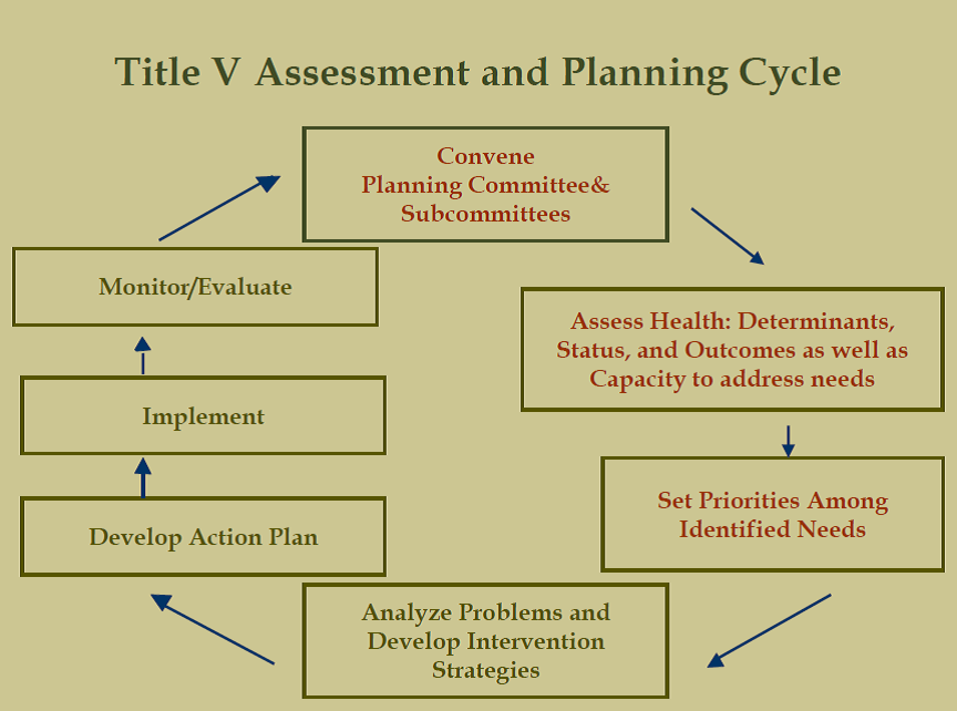 Title V Assessment and Planning Cycle