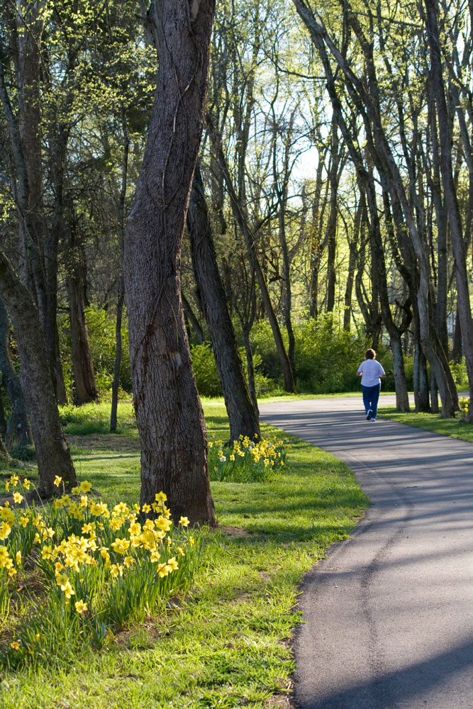 A person walking down a path surrounded by trees.