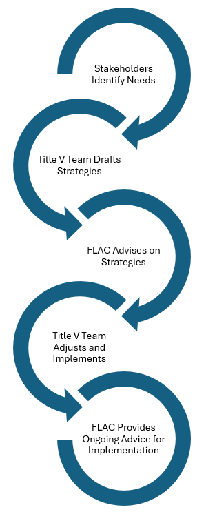 Stakeholders Identify Needs, Title V Team Drafts Strategies, FLAC Advises on Strategies, Title V Team Adjusts and Implements, FL