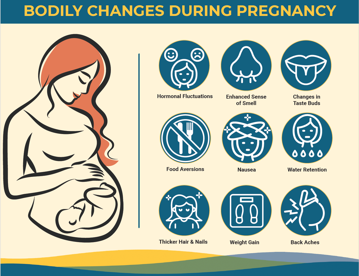 Bodily Changes During Preganacy