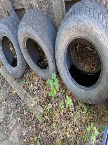 Water pooling in old tires.