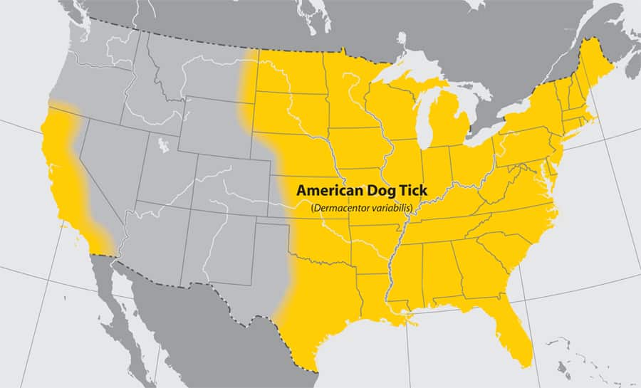 American Dog Tick Habitation Map