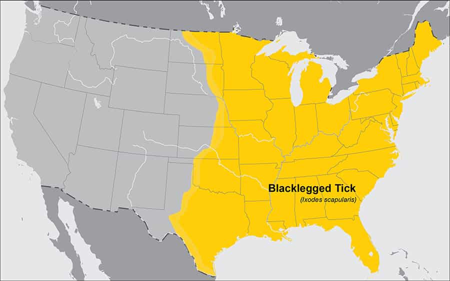 Blacklegged Tick Habitation Map