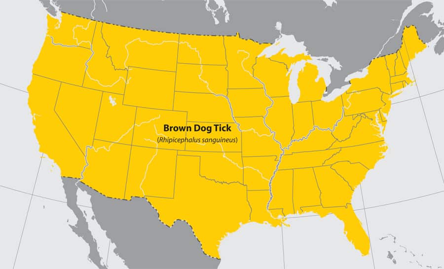 Brown Dog Tick Habitation Map