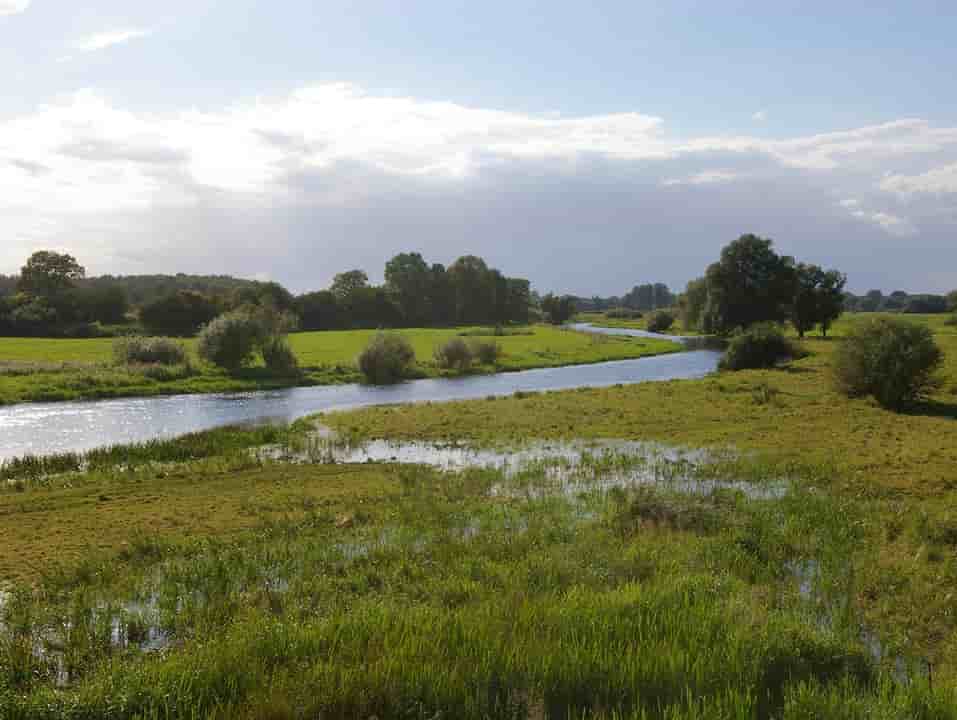 Floodplain – larval habitat for floodwater mosquitoes. Photo: Central Mass.