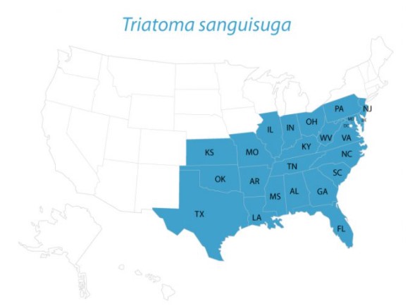 Triatoma sanguisuga map